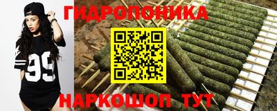 дживик Партизанск