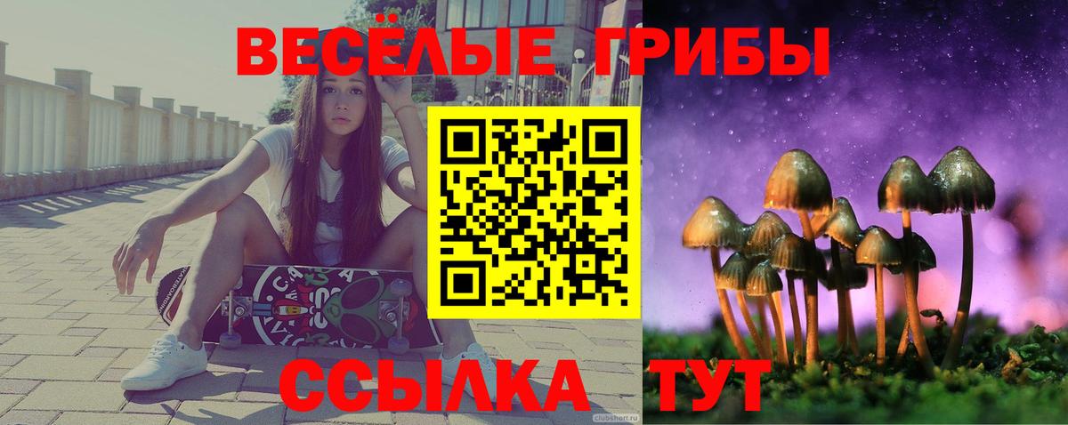 Строитель  Псилоцибиновые грибы GOLDEN TEACHER  Псилоцибиновые грибы Magic Shrooms  Вход с VPN 